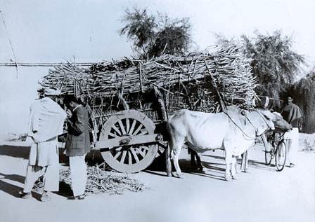 Frontier — photograph 2