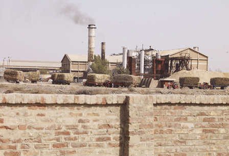 Mirpur Khas — photograph 5