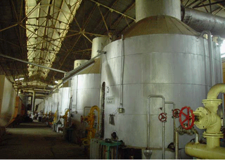 Pangrio — photograph 2