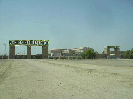 Pangrio — photograph 4
