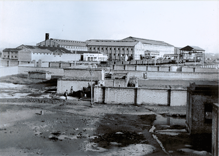 Premier — photograph 3